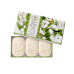 FIORENTINO KIT SABONETE PERFUMADO MUGHETTO LILY OF THE VALLEY - 3X125G	