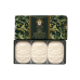 FIORENTINO KIT SABONETE PERFUMADO VETIVER E ARGAN - 3X125G