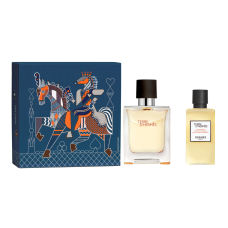 PERFUME HERMES PARIS TERRE D'HERMES EDT 100ML + SHOWER GEL 40ML - MASCULINO