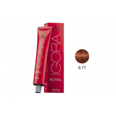 IGORA ROYAL COLORAÇÃO 6.77 - 60G IGORA ROYAL COLORAÇÃO 6.77 - 60G