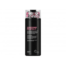 TRUSS CONDICIONADOR PERFECT - 300ML TRUSS CONDICIONADOR PERFECT - 300ML
